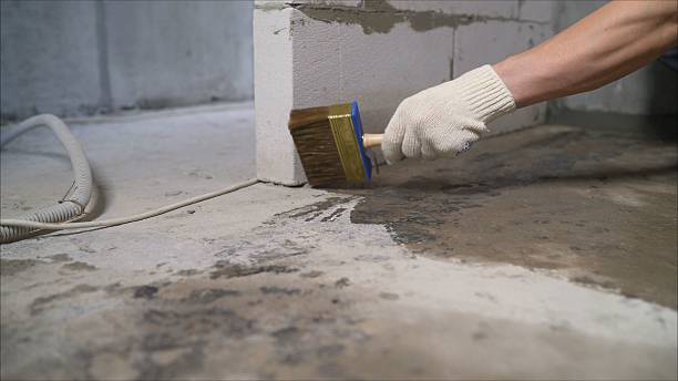 Top rated local Wet Basement Repair specialists in Riegelsville, PA